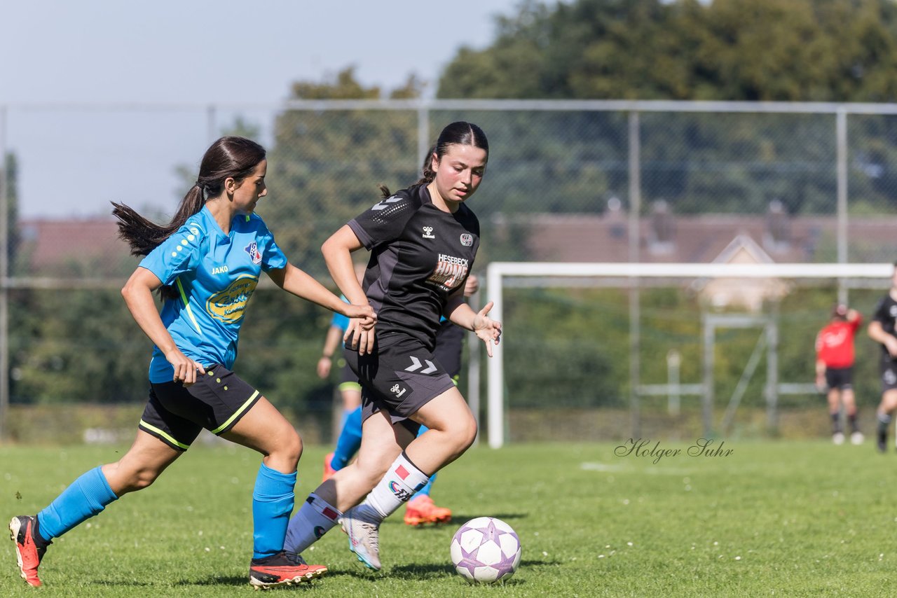 Bild 335 - wBJ SV Henstedt Ulzburg - FSG Oldendorf Itzehoe : Ergebnis: 2:5